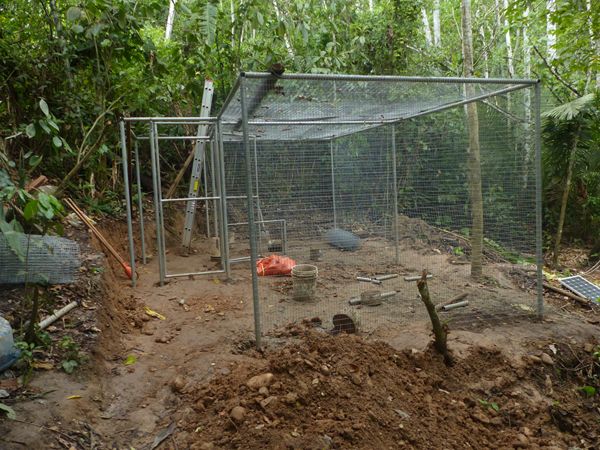 Zambo cage construction