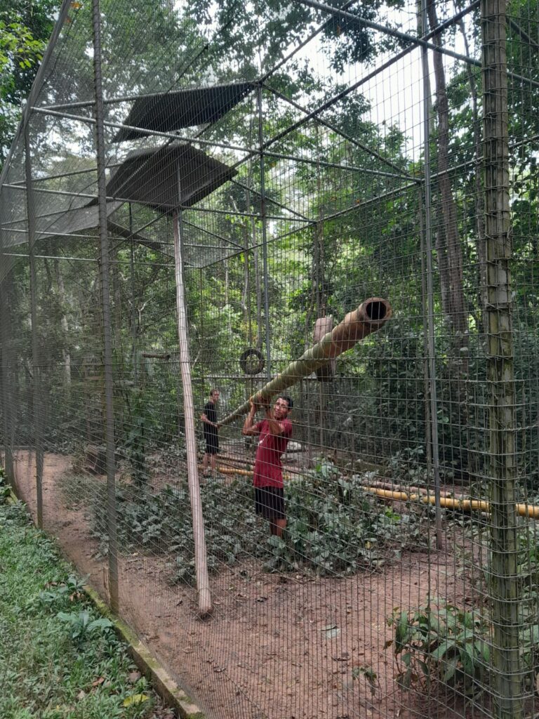 Reconstruction Rimaq enclosure