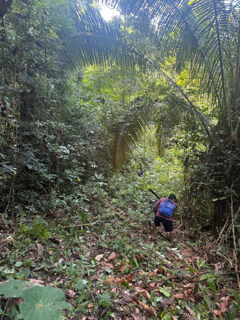 Clearing the borders